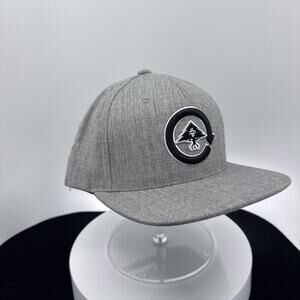 LRG Snapback in Gray (DEADSTOCK)